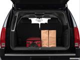  Trunk props photo
